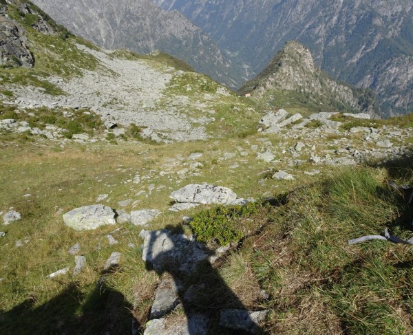 Sentiero Alpe e Colma di Grega (Cima Sajunchè)